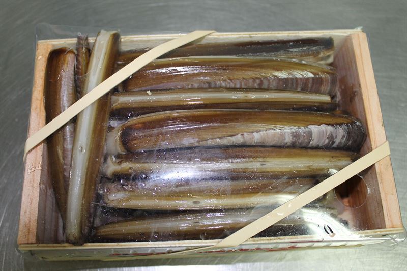 Navaja Gallega - Imagen 1